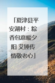 夏津县平安湖村：粽香包意暖夕阳 艾锤传情敬老心