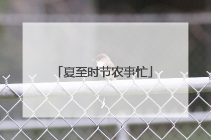夏至时节农事忙