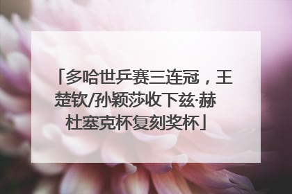 多哈世乒赛三连冠，王楚钦/孙颖莎收下兹·赫杜塞克杯复刻奖杯