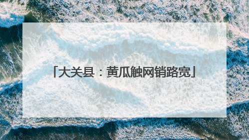 大关县：黄瓜触网销路宽