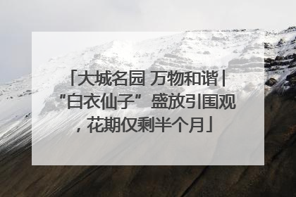 大城名园 万物和谐│“白衣仙子”盛放引围观，花期仅剩半个月