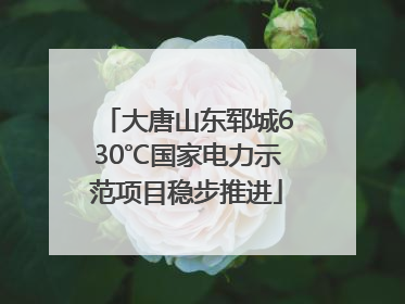 大唐山东郓城630℃国家电力示范项目稳步推进