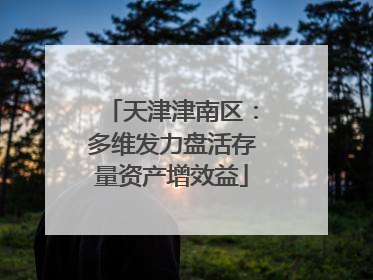 天津津南区：多维发力盘活存量资产增效益