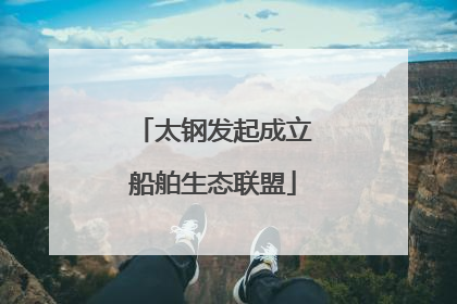 太钢发起成立船舶生态联盟