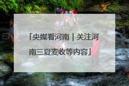 央媒看河南｜关注河南三夏麦收等内容