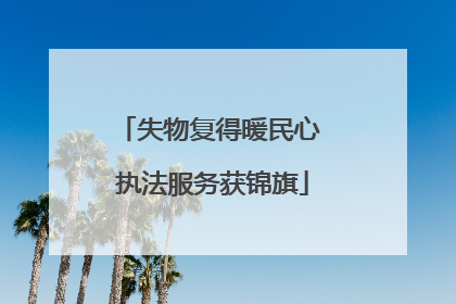 失物复得暖民心 执法服务获锦旗