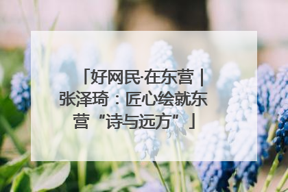 好网民·在东营｜张泽琦：匠心绘就东营“诗与远方”