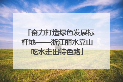 奋力打造绿色发展标杆地——浙江丽水靠山吃水走出特色路