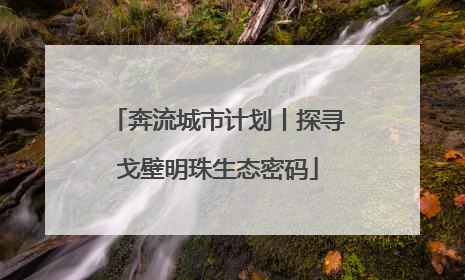 奔流城市计划丨探寻戈壁明珠生态密码