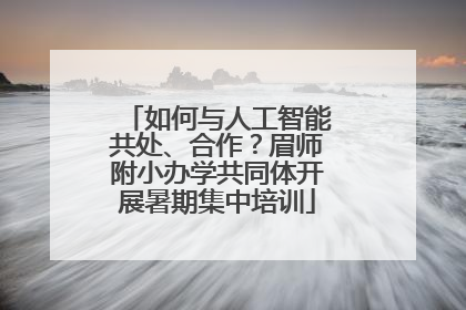 如何与人工智能共处、合作？眉师附小办学共同体开展暑期集中培训
