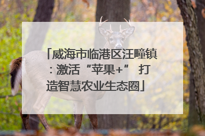威海市临港区汪疃镇：激活“苹果+” 打造智慧农业生态圈