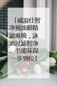 威浪仕智净预涂膜精滤系统，泳池过滤智净、节能环保一步到位