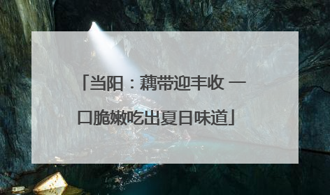 当阳：藕带迎丰收 一口脆嫩吃出夏日味道