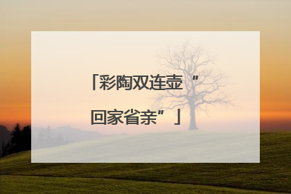 彩陶双连壶“回家省亲”