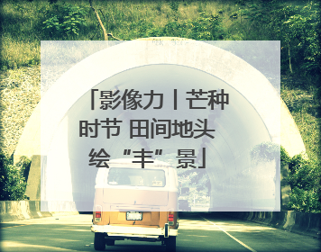 影像力丨芒种时节 田间地头绘“丰”景