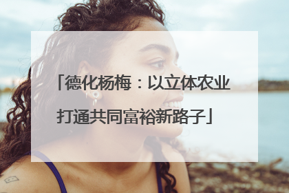 德化杨梅：以立体农业打通共同富裕新路子