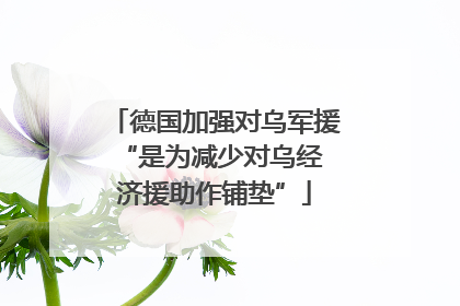 德国加强对乌军援 “是为减少对乌经济援助作铺垫”