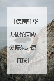 德国驻华大使馆回应樊振东赴德打球