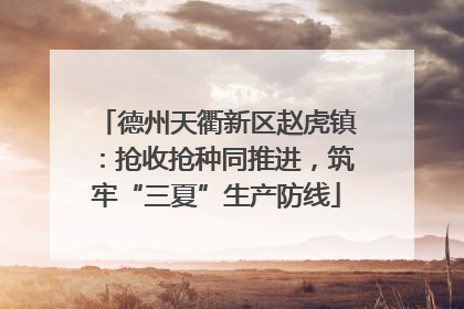 德州天衢新区赵虎镇：抢收抢种同推进，筑牢“三夏”生产防线