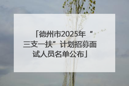德州市2025年“三支一扶”计划招募面试人员名单公布