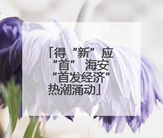 得“新”应“首” 海安“首发经济”热潮涌动