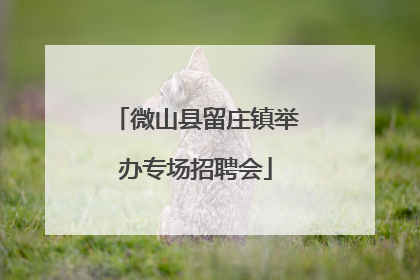 微山县留庄镇举办专场招聘会