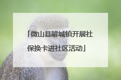 微山县驩城镇开展社保换卡进社区活动