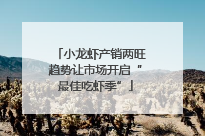 小龙虾产销两旺趋势让市场开启“最佳吃虾季”