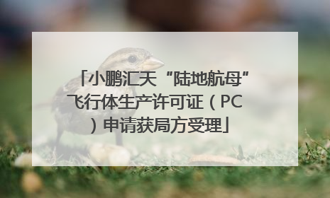 小鹏汇天“陆地航母”飞行体生产许可证（PC）申请获局方受理