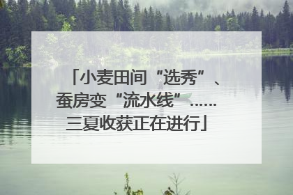 小麦田间“选秀”、蚕房变“流水线”……三夏收获正在进行