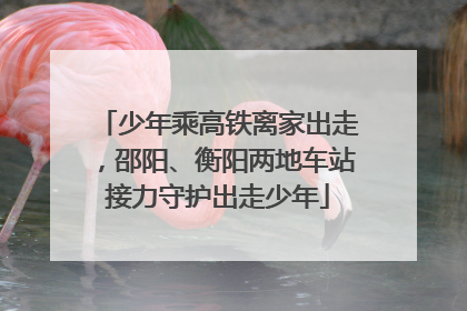 少年乘高铁离家出走，邵阳、衡阳两地车站接力守护出走少年