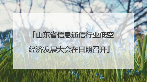 山东省信息通信行业低空经济发展大会在日照召开