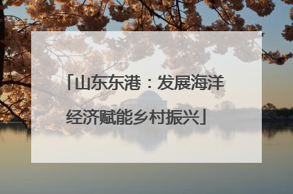 山东东港：发展海洋经济赋能乡村振兴