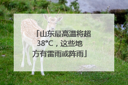 山东最高温将超38°C，这些地方有雷雨或阵雨