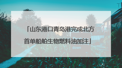 山东港口青岛港完成北方首单船舶生物燃料油加注