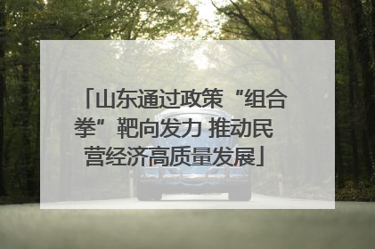 山东通过政策“组合拳”靶向发力 推动民营经济高质量发展
