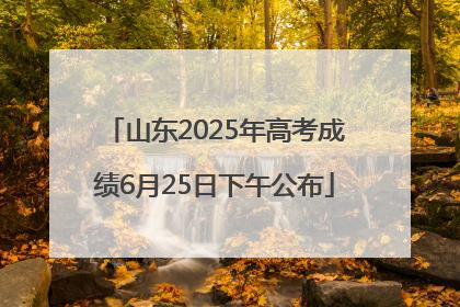 山东2025年高考成绩6月25日下午公布