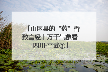 山区县的“药”香致富经丨万千气象看四川·平武③