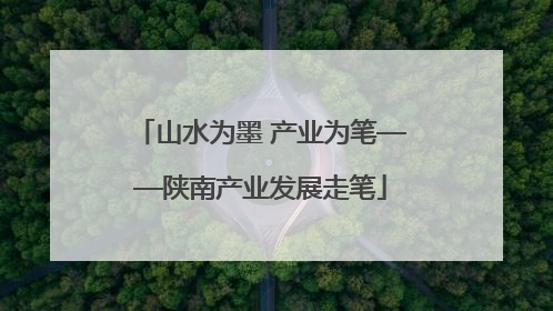 山水为墨 产业为笔——陕南产业发展走笔