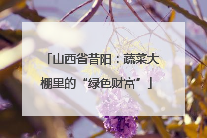 山西省昔阳：蔬菜大棚里的“绿色财富”