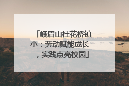 峨眉山桂花桥镇小：劳动赋能成长，实践点亮校园