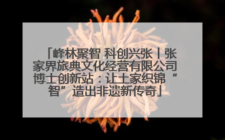 峰林聚智 科创兴张丨张家界旅典文化经营有限公司博士创新站：让土家织锦“智”造出非遗新传奇