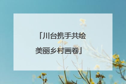 川台携手共绘美丽乡村画卷
