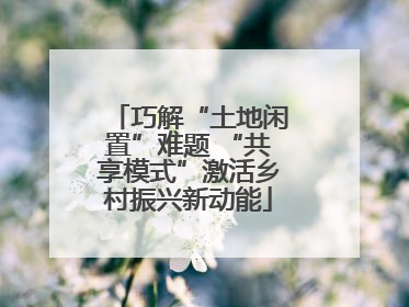 巧解“土地闲置”难题 “共享模式”激活乡村振兴新动能