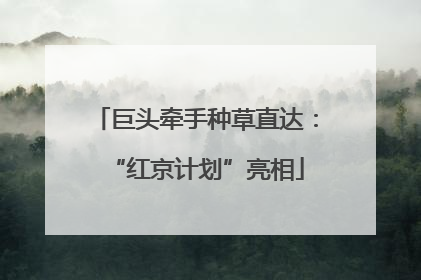 巨头牵手种草直达：“红京计划”亮相