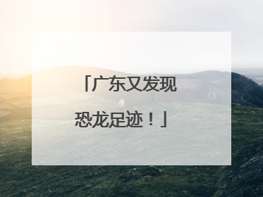 广东又发现恐龙足迹！
