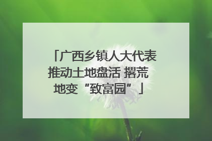 广西乡镇人大代表推动土地盘活 撂荒地变“致富园”