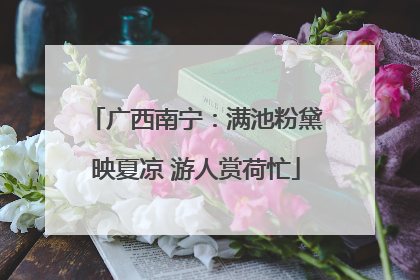 广西南宁：满池粉黛映夏凉 游人赏荷忙
