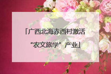 广西北海赤西村激活“农文旅学”产业