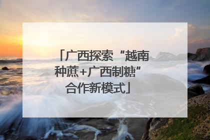 广西探索“越南种蔗+广西制糖”合作新模式